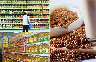 轉(zhuǎn)基因食品的標(biāo)識(shí)迷局 廠家為何遮掩，消費(fèi)者如何識(shí)別？